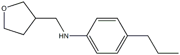 N-(oxolan-3-ylmethyl)-4-propylaniline Structure