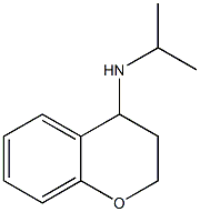 N-(propan-2-yl)-3,4-dihydro-2H-1-benzopyran-4-amine 구조식 이미지