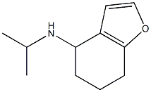 N-(propan-2-yl)-4,5,6,7-tetrahydro-1-benzofuran-4-amine Structure