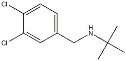 N-(tert-butyl)-N-(3,4-dichlorobenzyl)amine Structure