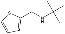 N-(tert-butyl)-N-(thien-2-ylmethyl)amine 구조식 이미지