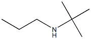 N-(tert-butyl)-N-propylamine 구조식 이미지