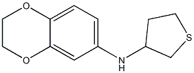 N-(thiolan-3-yl)-2,3-dihydro-1,4-benzodioxin-6-amine 구조식 이미지