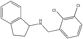 N-[(2,3-dichlorophenyl)methyl]-2,3-dihydro-1H-inden-1-amine Structure