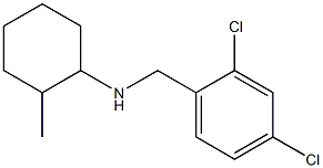 N-[(2,4-dichlorophenyl)methyl]-2-methylcyclohexan-1-amine 구조식 이미지