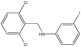 N-[(2,6-dichlorophenyl)methyl]-3-iodoaniline 구조식 이미지