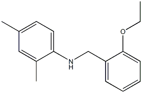 N-[(2-ethoxyphenyl)methyl]-2,4-dimethylaniline 구조식 이미지