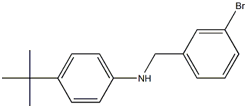 N-[(3-bromophenyl)methyl]-4-tert-butylaniline 구조식 이미지