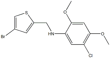 N-[(4-bromothiophen-2-yl)methyl]-5-chloro-2,4-dimethoxyaniline 구조식 이미지