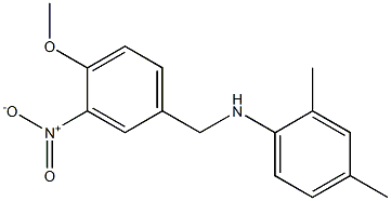 N-[(4-methoxy-3-nitrophenyl)methyl]-2,4-dimethylaniline 구조식 이미지