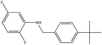 N-[(4-tert-butylphenyl)methyl]-2,5-difluoroaniline Structure