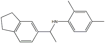 N-[1-(2,3-dihydro-1H-inden-5-yl)ethyl]-2,4-dimethylaniline 구조식 이미지