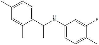 N-[1-(2,4-dimethylphenyl)ethyl]-3-fluoro-4-methylaniline 구조식 이미지