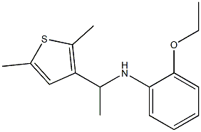 N-[1-(2,5-dimethylthiophen-3-yl)ethyl]-2-ethoxyaniline 구조식 이미지