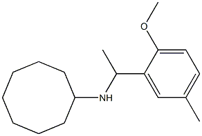 N-[1-(2-methoxy-5-methylphenyl)ethyl]cyclooctanamine Structure