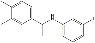 N-[1-(3,4-dimethylphenyl)ethyl]-3-iodoaniline Structure