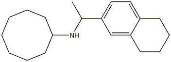 N-[1-(5,6,7,8-tetrahydronaphthalen-2-yl)ethyl]cyclooctanamine Structure