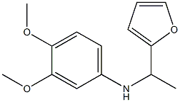 N-[1-(furan-2-yl)ethyl]-3,4-dimethoxyaniline 구조식 이미지