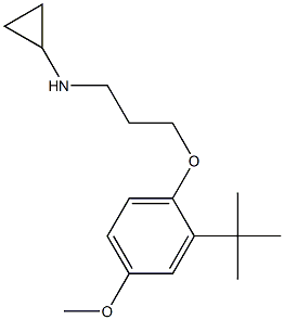 N-[3-(2-tert-butyl-4-methoxyphenoxy)propyl]cyclopropanamine Structure