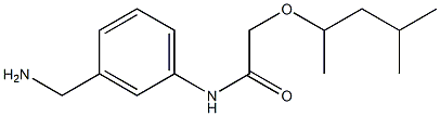 N-[3-(aminomethyl)phenyl]-2-[(4-methylpentan-2-yl)oxy]acetamide 구조식 이미지