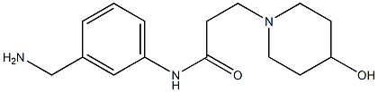 N-[3-(aminomethyl)phenyl]-3-(4-hydroxypiperidin-1-yl)propanamide Structure