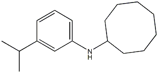 N-[3-(propan-2-yl)phenyl]cyclooctanamine Structure