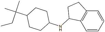 N-[4-(2-methylbutan-2-yl)cyclohexyl]-2,3-dihydro-1H-inden-1-amine Structure