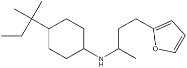 N-[4-(furan-2-yl)butan-2-yl]-4-(2-methylbutan-2-yl)cyclohexan-1-amine Structure