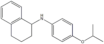 N-[4-(propan-2-yloxy)phenyl]-1,2,3,4-tetrahydronaphthalen-1-amine 구조식 이미지