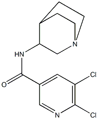 N-{1-azabicyclo[2.2.2]octan-3-yl}-5,6-dichloropyridine-3-carboxamide 구조식 이미지