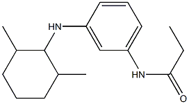 N-{3-[(2,6-dimethylcyclohexyl)amino]phenyl}propanamide 구조식 이미지