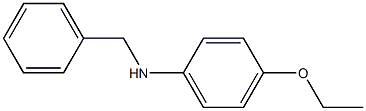 N-benzyl-4-ethoxyaniline 구조식 이미지