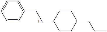 N-benzyl-4-propylcyclohexan-1-amine 구조식 이미지