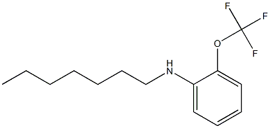 N-heptyl-2-(trifluoromethoxy)aniline Structure