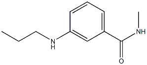 N-methyl-3-(propylamino)benzamide Structure