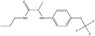 N-propyl-2-{[4-(trifluoromethoxy)phenyl]amino}propanamide 구조식 이미지