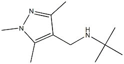 tert-butyl[(1,3,5-trimethyl-1H-pyrazol-4-yl)methyl]amine 구조식 이미지