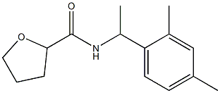 N-[1-(2,4-dimethylphenyl)ethyl]tetrahydro-2-furancarboxamide Structure