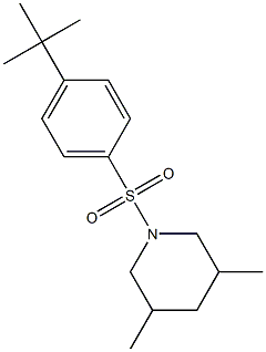 1-[(4-tert-butylphenyl)sulfonyl]-3,5-dimethylpiperidine Structure