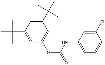 3,5-ditert-butylphenyl 3-chlorophenylcarbamate Structure