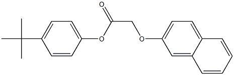 4-(tert-butyl)phenyl 2-(2-naphthyloxy)acetate 구조식 이미지