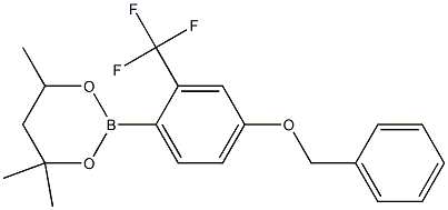 2-[4-Benzyloxy-2-(trifluoromethyl)phenyl]-4,4,6-trimethyl-1,3,2-dioxaborinane Structure