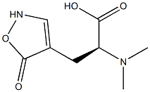 (S)-2-(Dimethylamino)-3-[(2,5-dihydro-5-oxoisoxazol)-4-yl]propanoic acid Structure