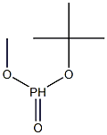 Phosphonic acid methyl tert-butyl ester 구조식 이미지