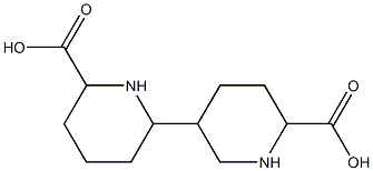 Dodecahydro[2,3'-bipyridine]-6,6'-dicarboxylic acid 구조식 이미지