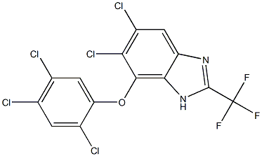 5,6-Dichloro-7-(2,4,5-trichlorophenoxy)-2-trifluoromethyl-1H-benzimidazole 구조식 이미지