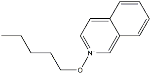 2-Pentyloxyisoquinolinium Structure