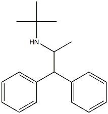 1-Methyl-N-tert-butyl-2,2-diphenylethan-1-amine 구조식 이미지