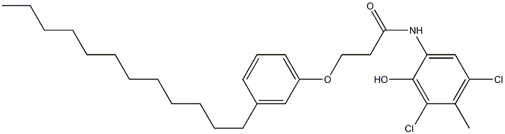 2-[3-(3-Dodecylphenoxy)propanoylamino]-4,6-dichloro-5-methylphenol 구조식 이미지