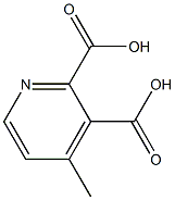 4-Methylpyridine-2,3-dicarboxylic acid 구조식 이미지